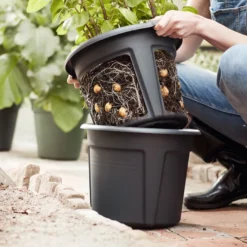 Elho Green Basics Aardappelpot 33cm -Goedkope Leef Tuin Winkel elho green basics aardappelpot 33cm 1313x875 6427fcac93e19 l