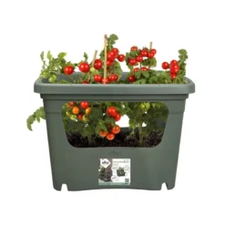Elho Plantenbak Green Basics Stack & Grow Large Groen -Goedkope Leef Tuin Winkel elho plantenbak green basics stack grow large groen 800x800 620e3d4de4622 l