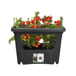 Elho Plantenbak Green Basics Stack & Grow Large Zwart -Goedkope Leef Tuin Winkel elho plantenbak green basics stack grow large zwart 800x800 620e3d4eed857 l