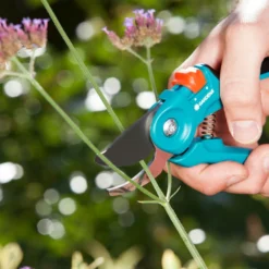 Goedkope Leef Tuin Winkel -Goedkope Leef Tuin Winkel gardena classic snoeischaar 1500x1000 640af7d43414a l