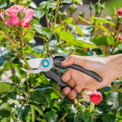 GARDENA EcoLine Snoeischaar -Goedkope Leef Tuin Winkel gardena ecoline snoeischaar 1500x1000 640af830a9262 l