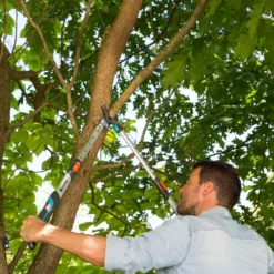 GARDENA Takkenschaar TeleCut Long 650-900 B -Goedkope Leef Tuin Winkel gardena telecut long 650 900b 1500x1001 640af7f15744f l