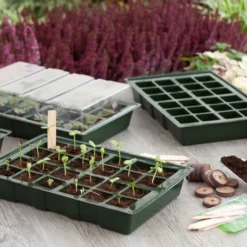 Nature Kweekbakset 35x23,5cm 4 St -Goedkope Leef Tuin Winkel nature kweekbakset 35x23 5cm 4 st 800x532 6214a027c962f l