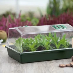 Nature Kweekkas Groen 55x31cm -Goedkope Leef Tuin Winkel nature kweekkas groen 55x31cm 800x532 6214a0257444b l