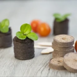 Nature Turftabletten 48st -Goedkope Leef Tuin Winkel nature turftabletten 48st 800x532 6214a01453d91 l