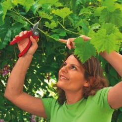 WOLF-Garten Aambeeld Snoeischaar Comfort Plus RS2500 -Goedkope Leef Tuin Winkel wolf garten aambeeld snoeischaar comfort plus rs2500 1619177787 1 l