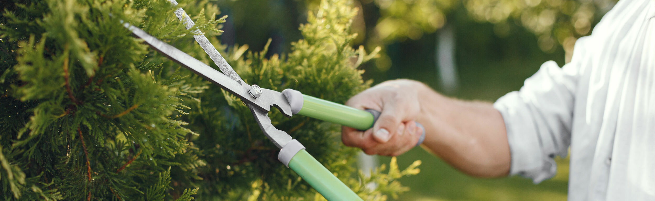 Goedkope Leef Tuin Winkel -Goedkope Leef Tuin Winkel 2