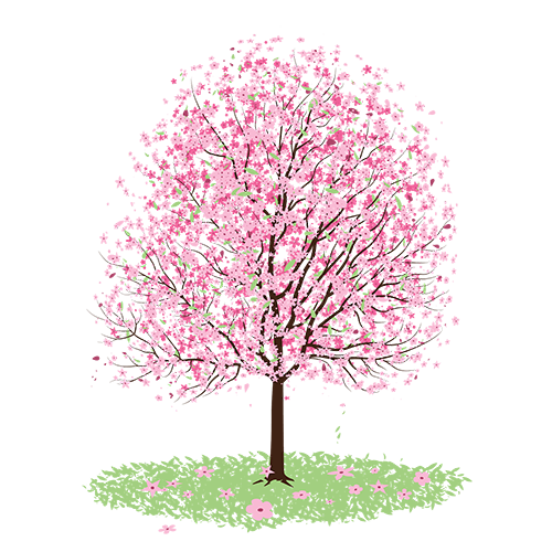 Goedkope Leef Tuin Winkel